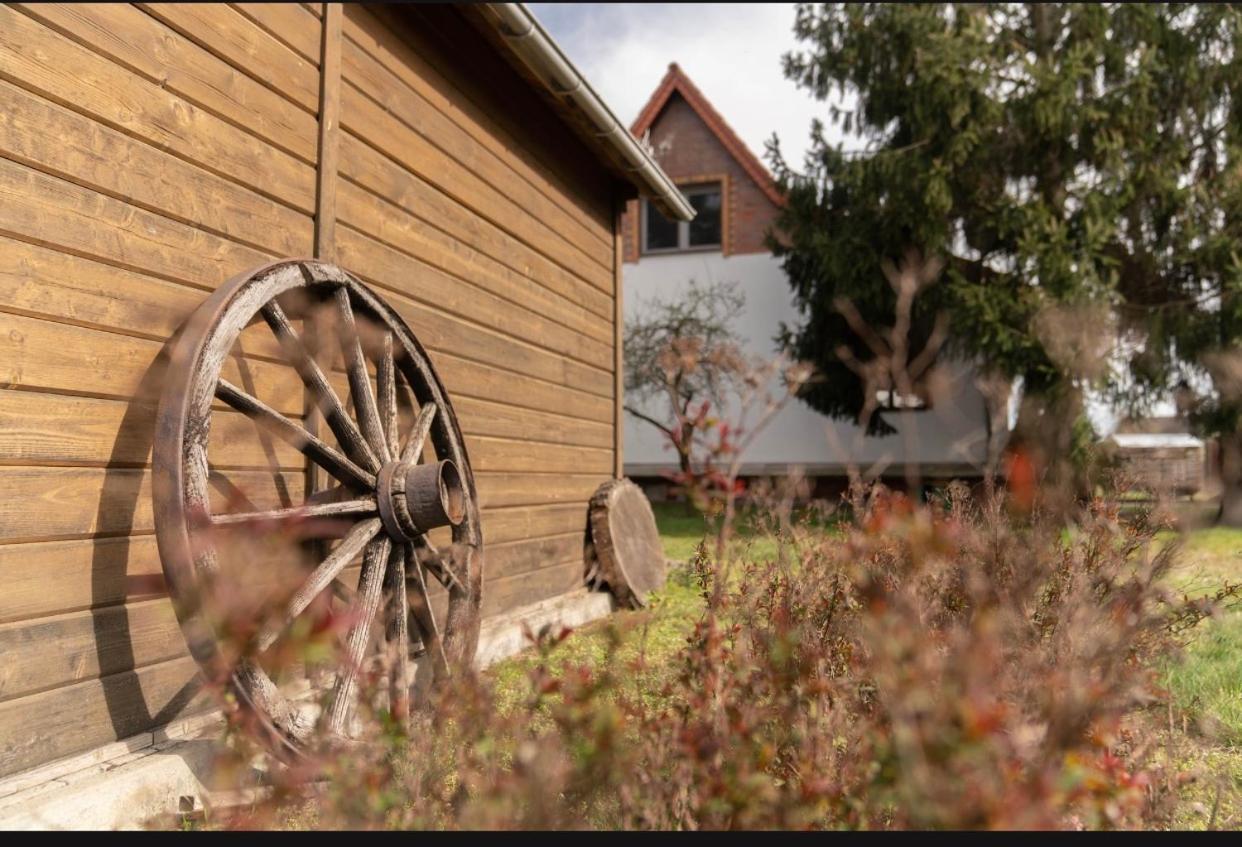 Ferienhaus Leo Boblitz Exteriör bild